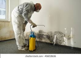 Reliable Island Heights, NJ Mold Remediation Solutions